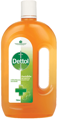น้ำยาฆ่าเชื้อโรค 750ml