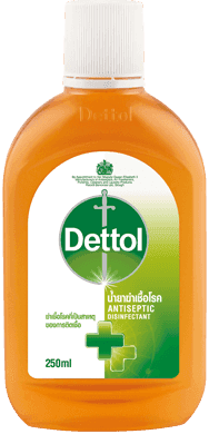 น้ำยาฆ่าเชื้อโรค 250ml